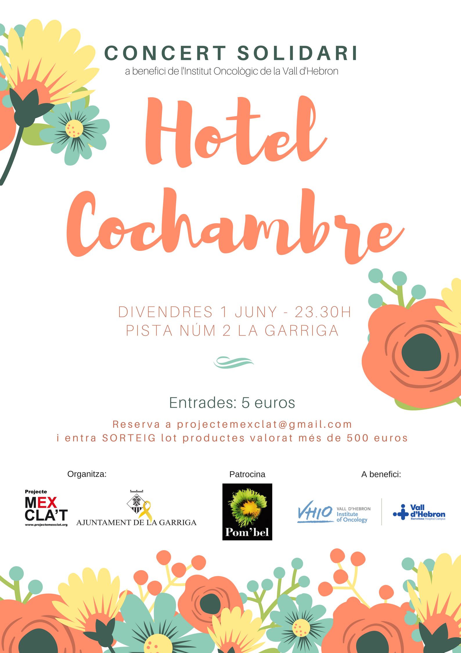Concert solidari d'Hotel Cochambre