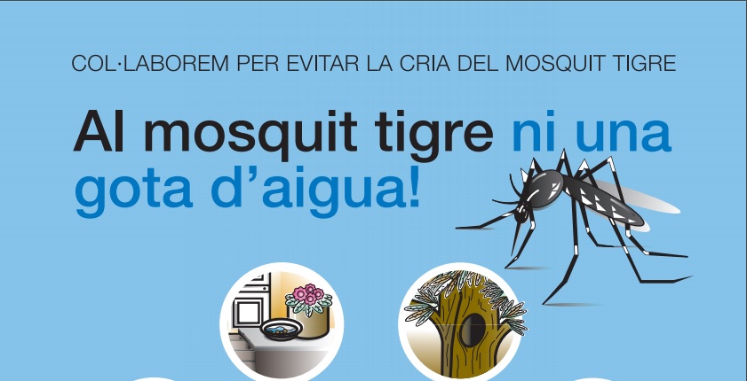 Comença la campanya contra el mosquit tigre