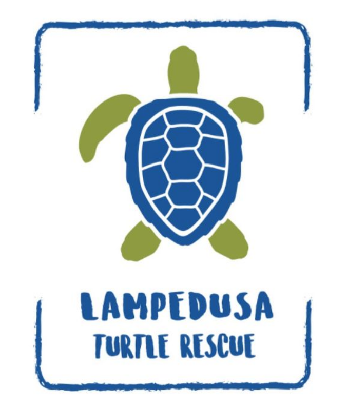 Una alumna de l'EMAD dissenyarà el logo del Lampedusa Turtle Rescue