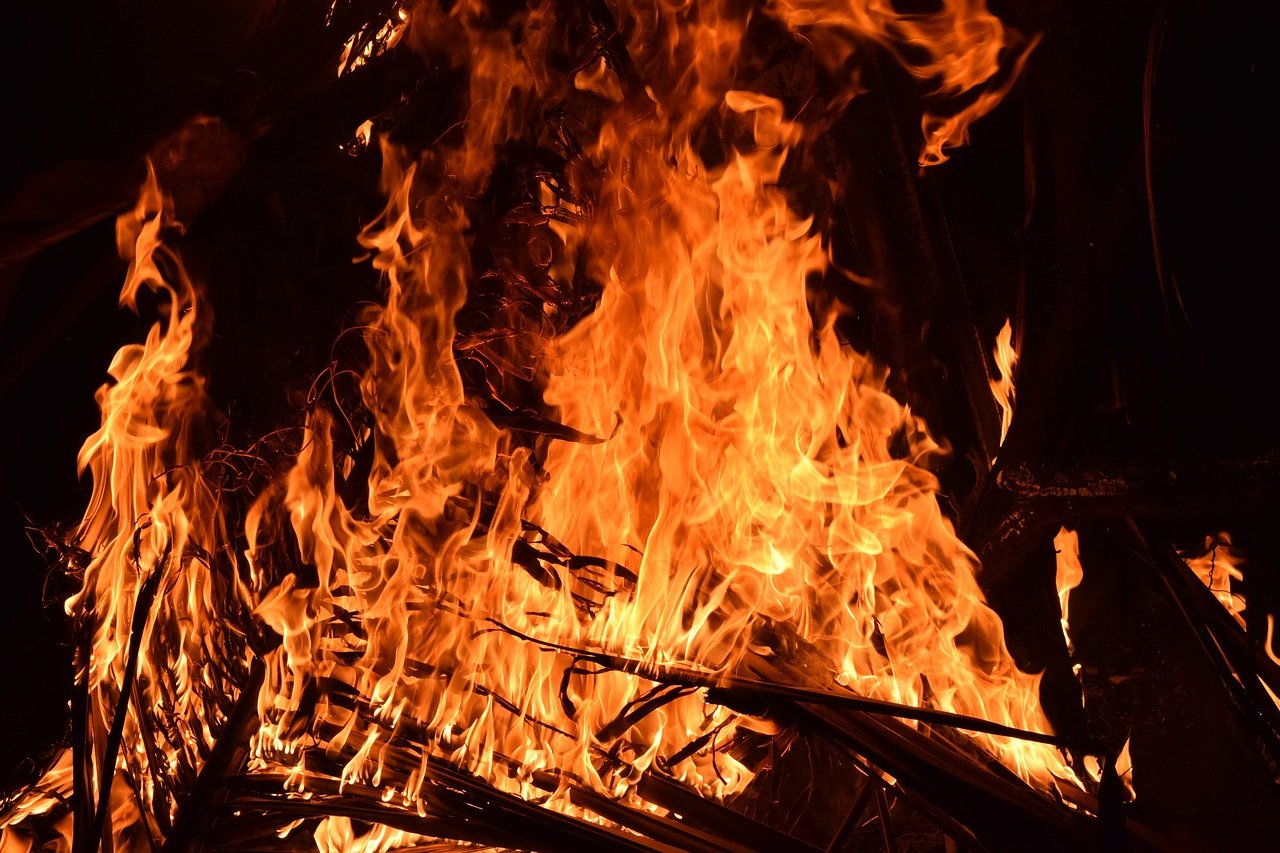 En vigor la prohibició de fer foc en terrenys forestals