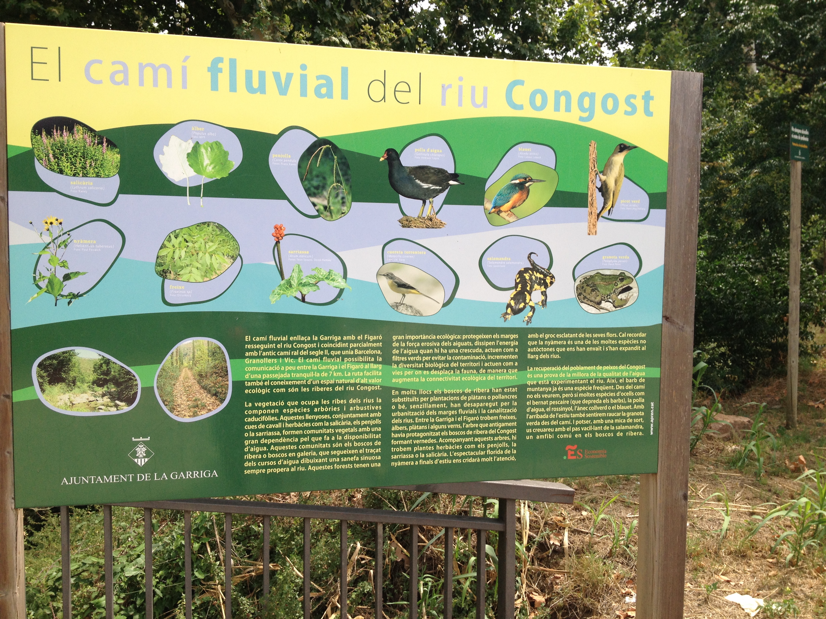 Descobrir els secrets del riu Congost