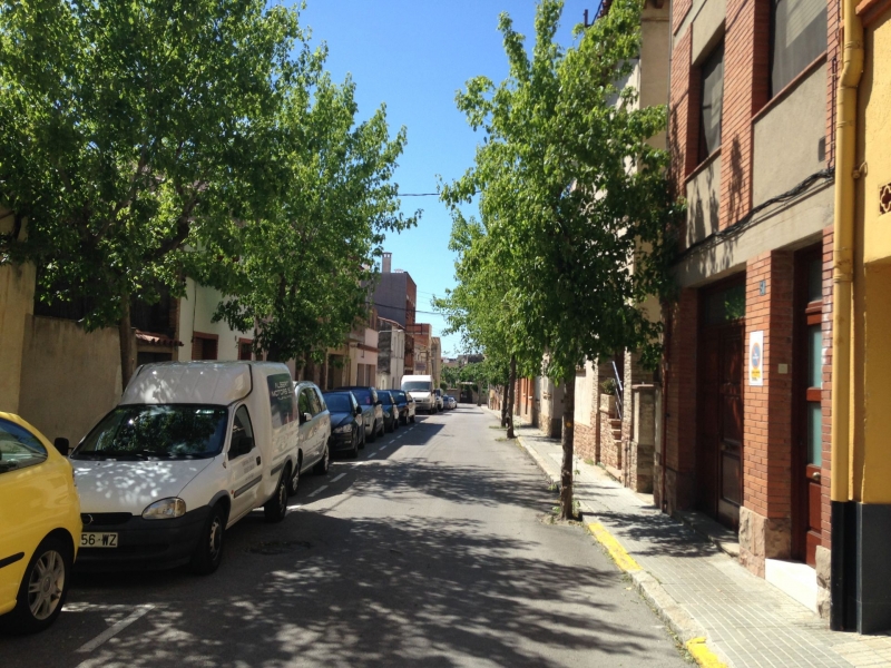 Reunió sobre els arbres dels carrers Consell, Llerona i Sancho Marraco