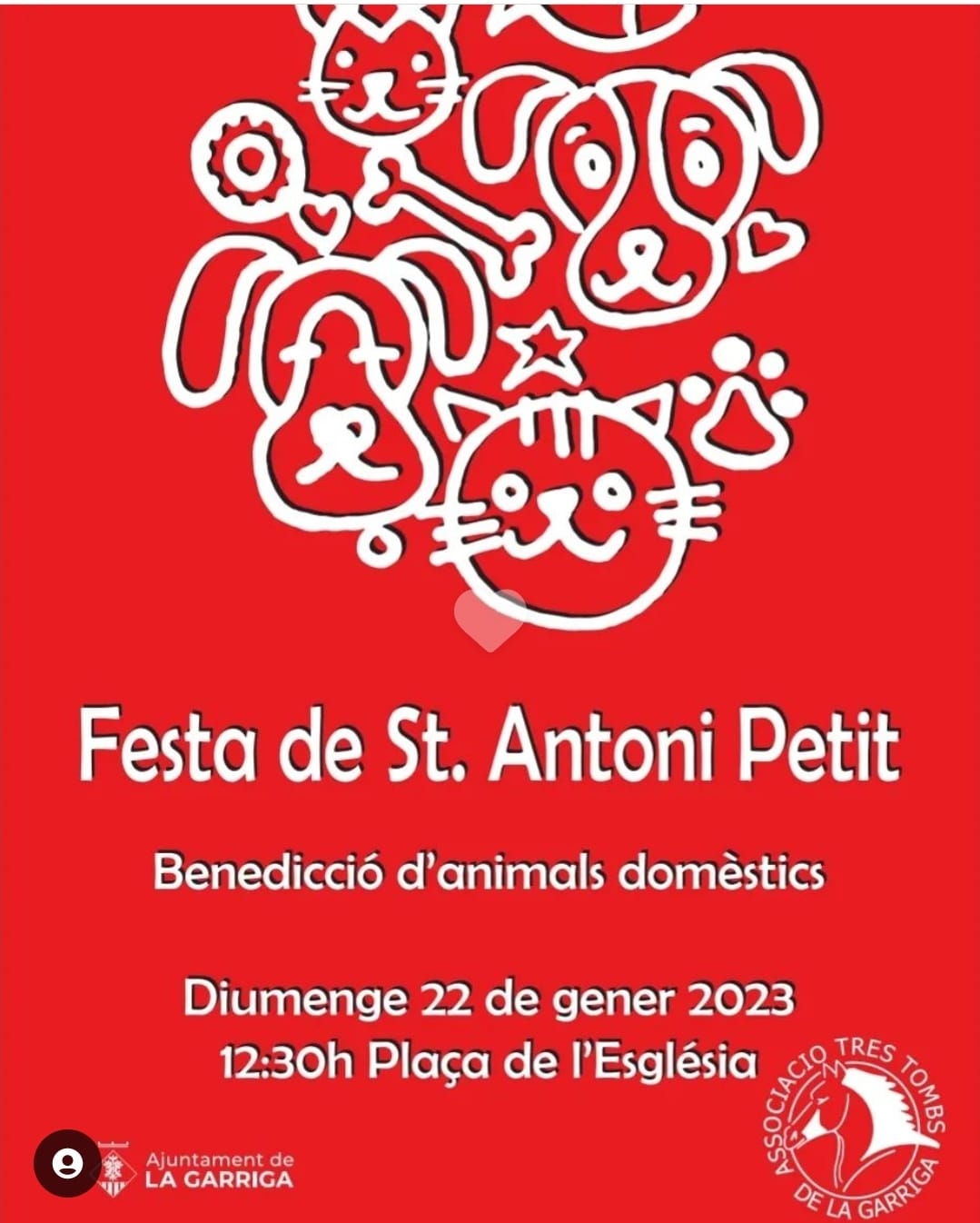 Festa de St.Antoni Petit