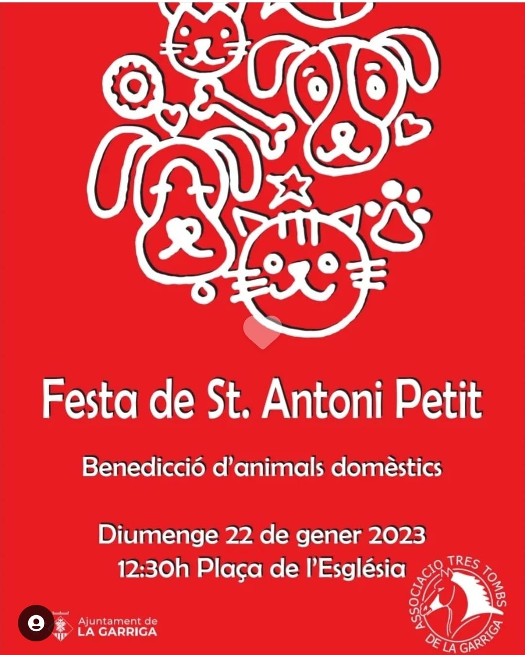 Festa de St.Antoni Petit 