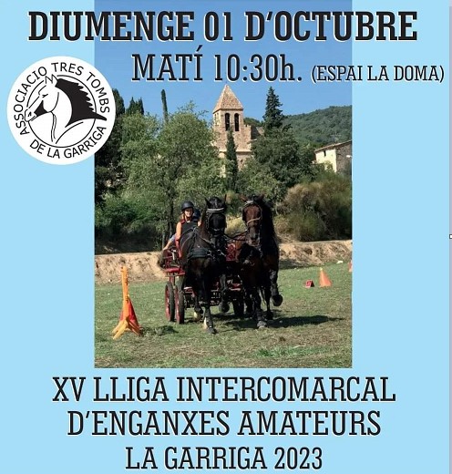 XV Lliga intercomarcal d'enganxes