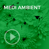 Medi Ambient