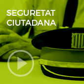 Seguretat ciutadana