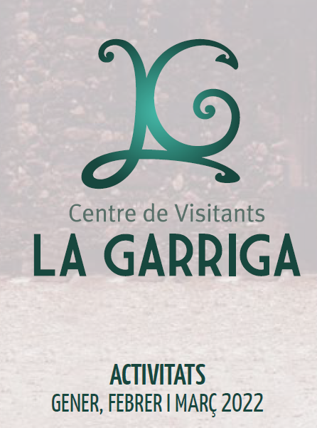Activitat detectivesca: Desperta Holmes! El cas de la Doma...