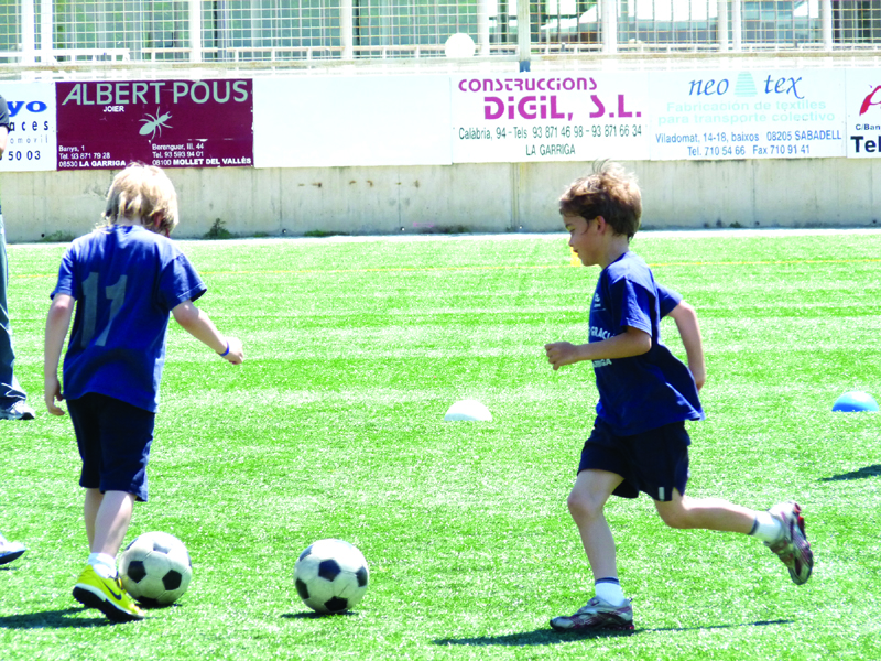 Subvencions a esportistes