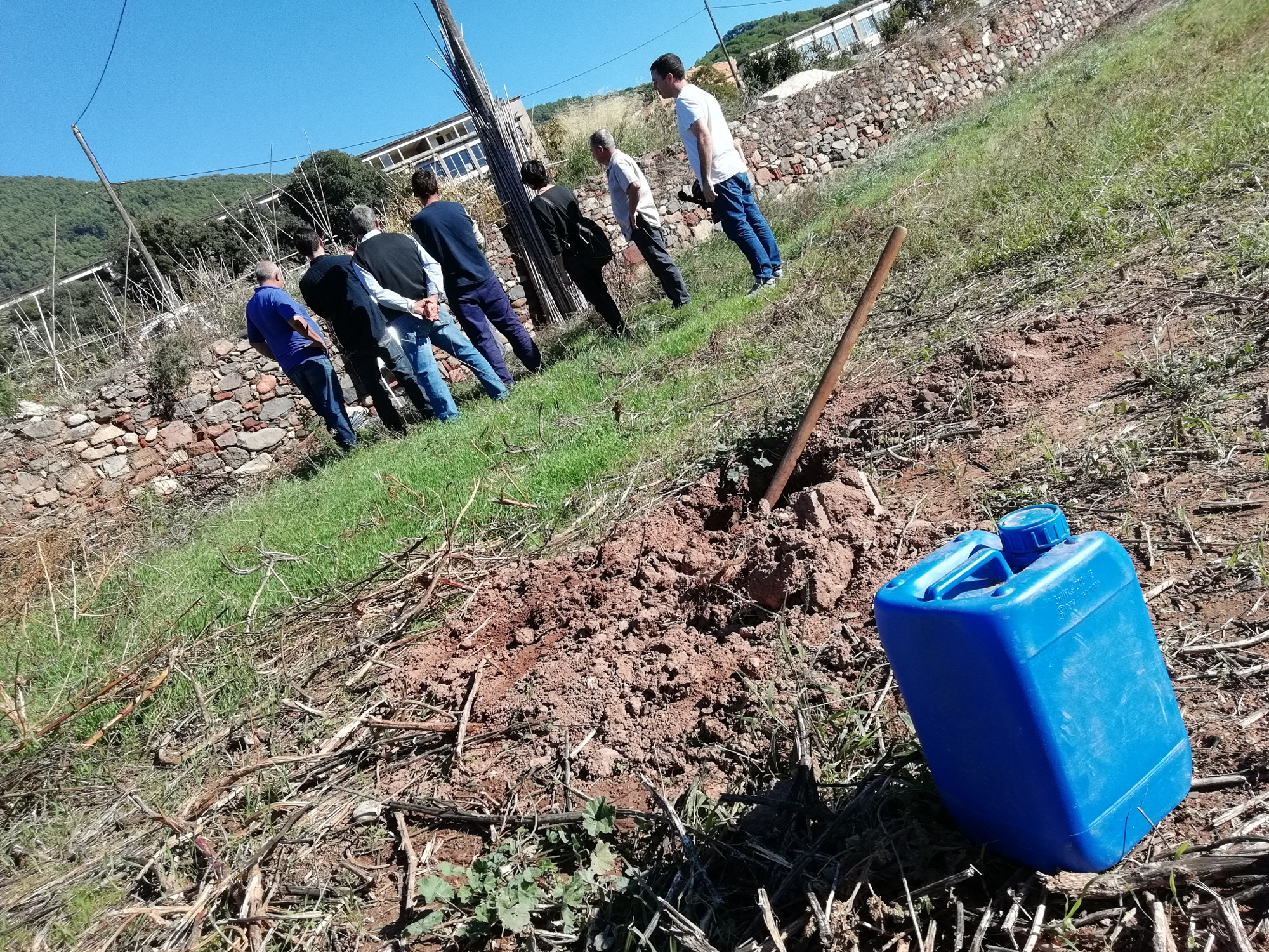 Formació per adaptar els conreus a una agricultura biològica