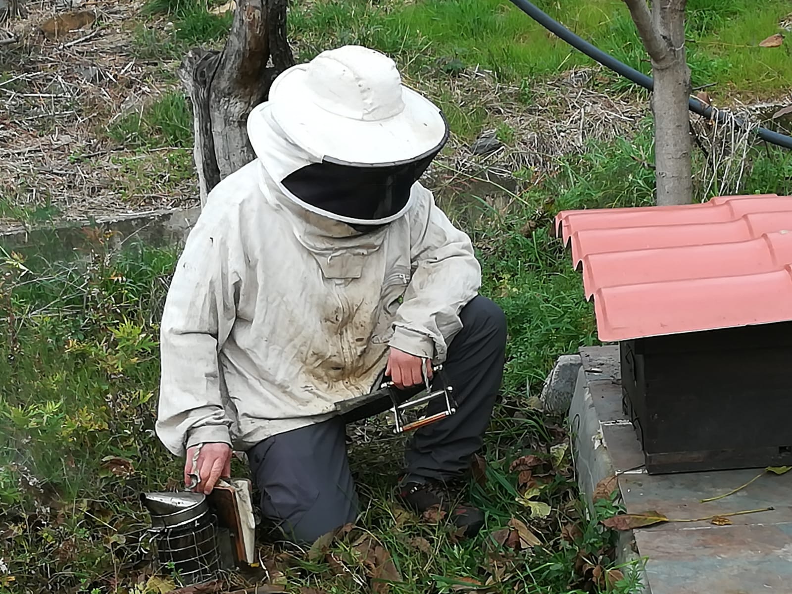 Noves actuacions del projecte La Garriga Biocides Zero