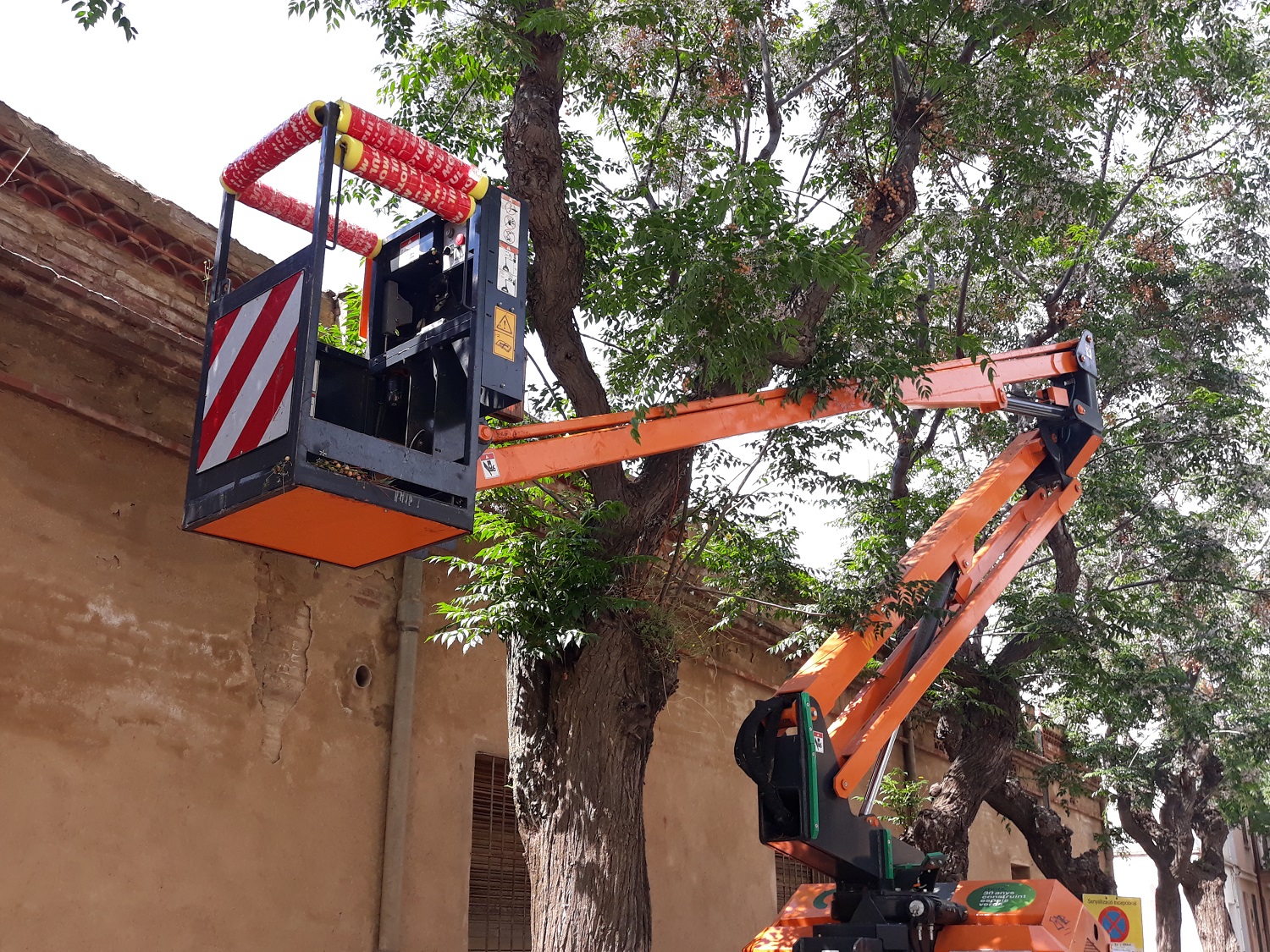 Campanya de poda a la Garriga