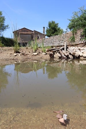 Recuperació de les basses del poble