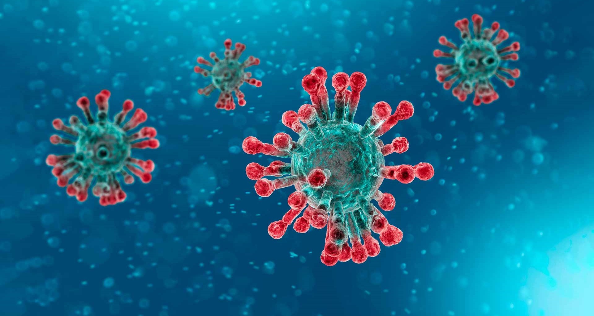 Actualitat Coronavirus