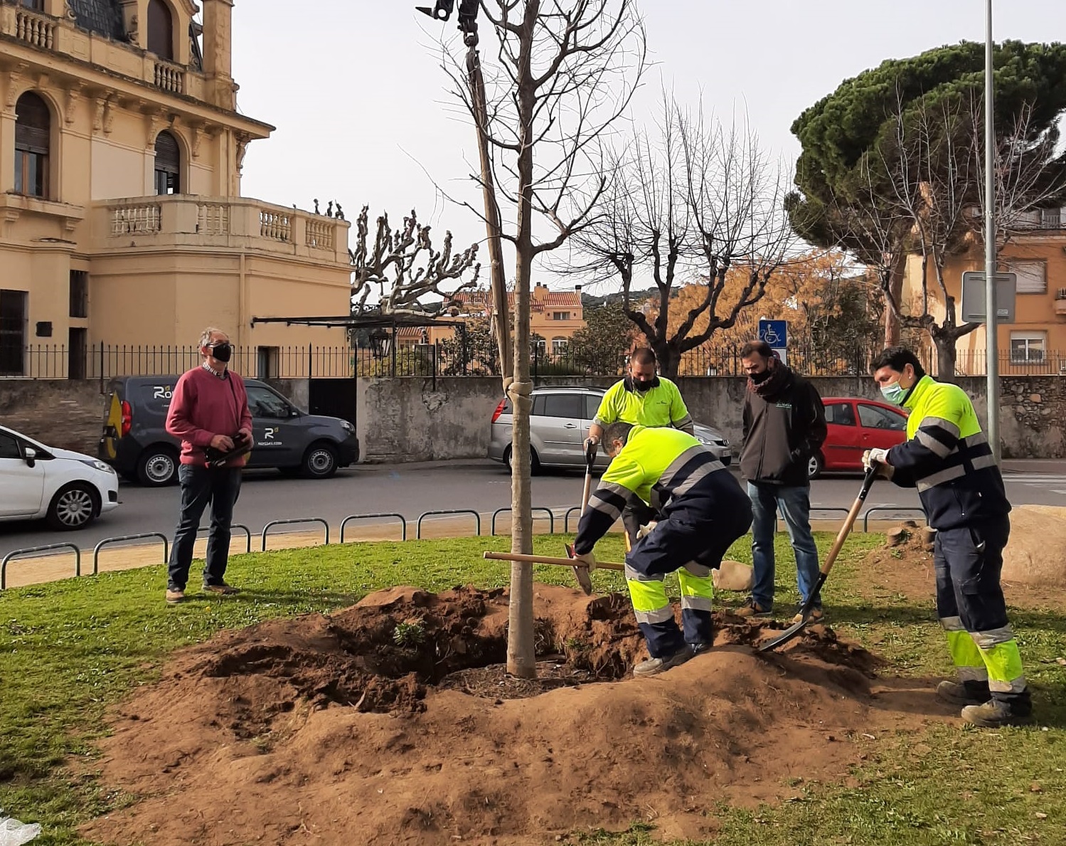 Es replanten una cinquantena d'arbres