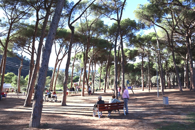 El projecte de renovació del parc dels Pinetons, en marxa