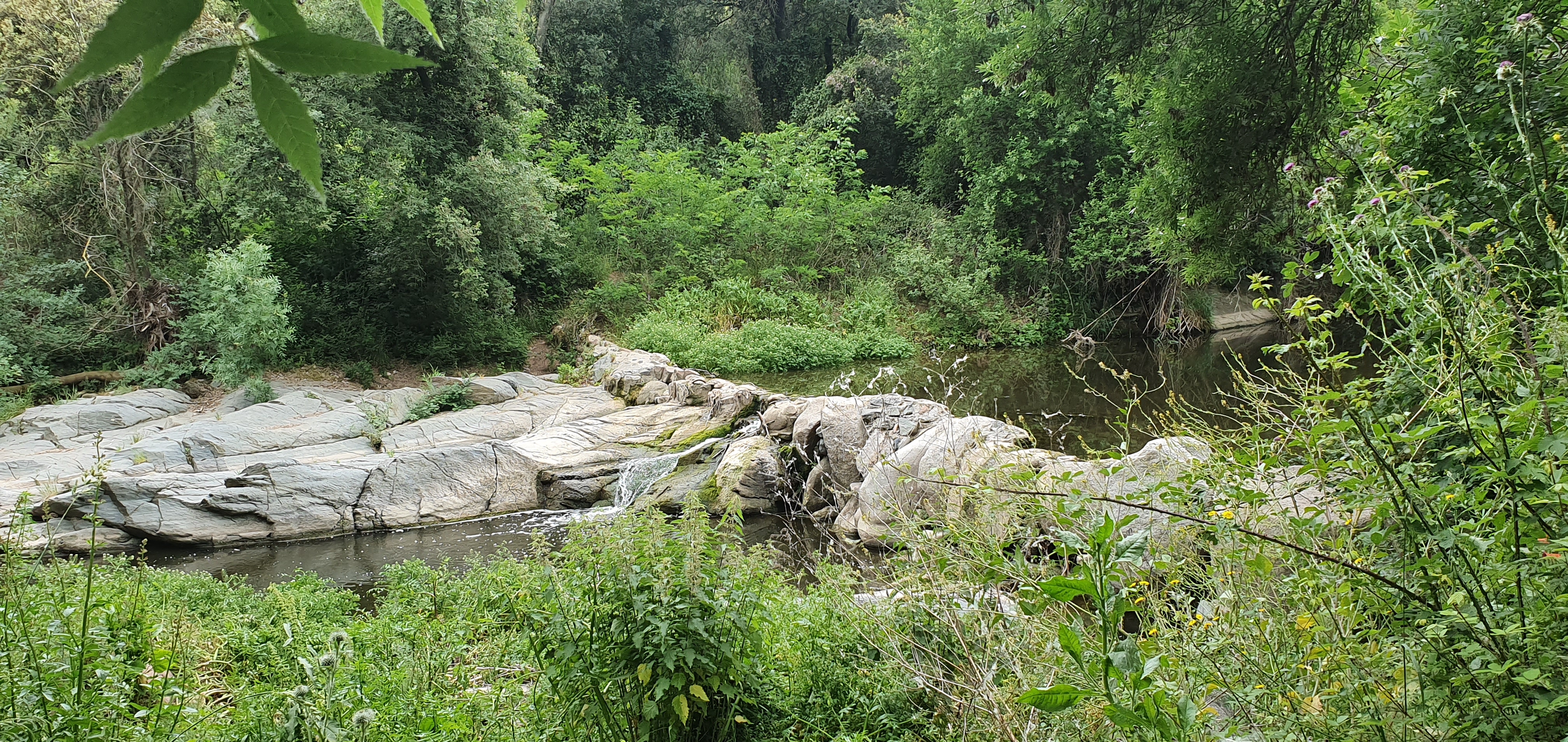 El Rec Monar, símbol del patrimoni rural garriguenc