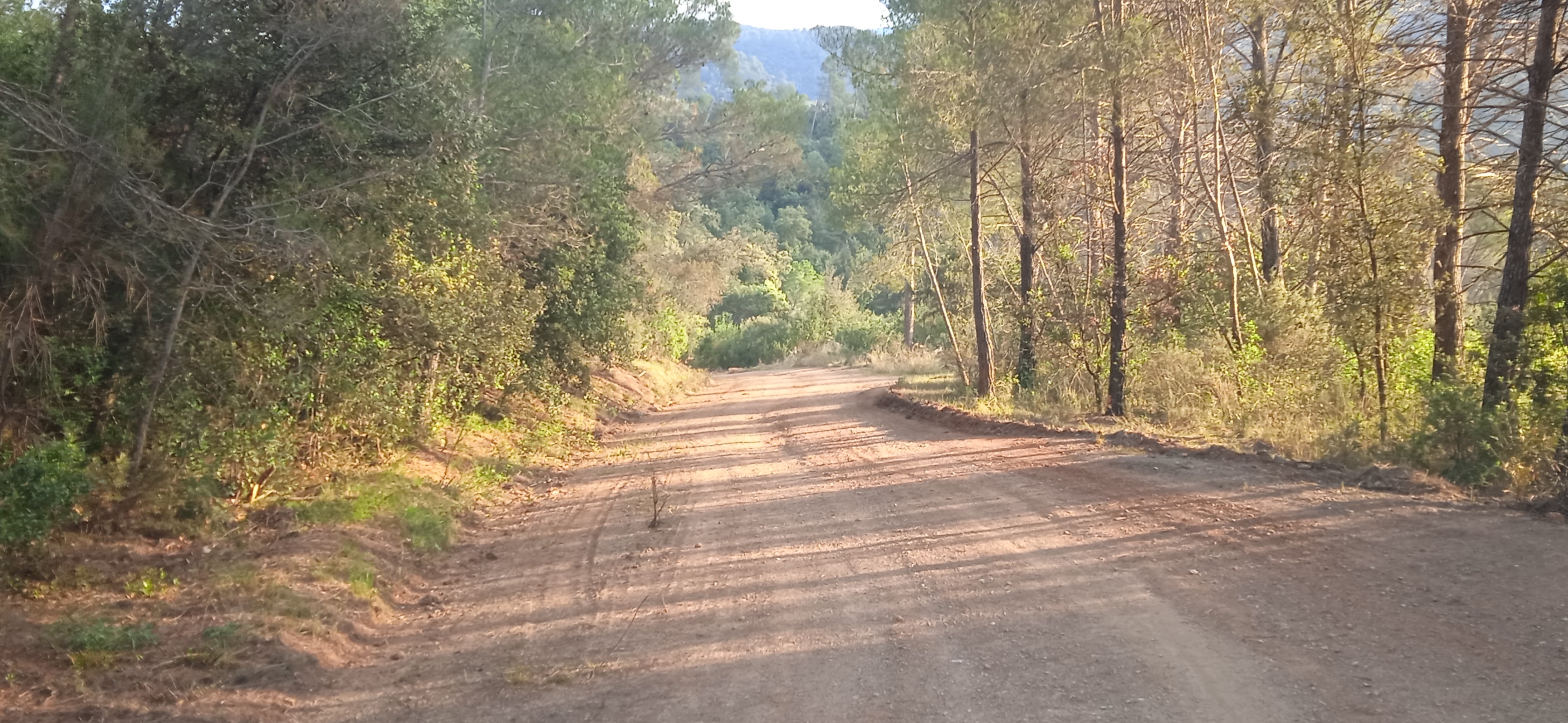 Per la prevenció d'incendis forestals