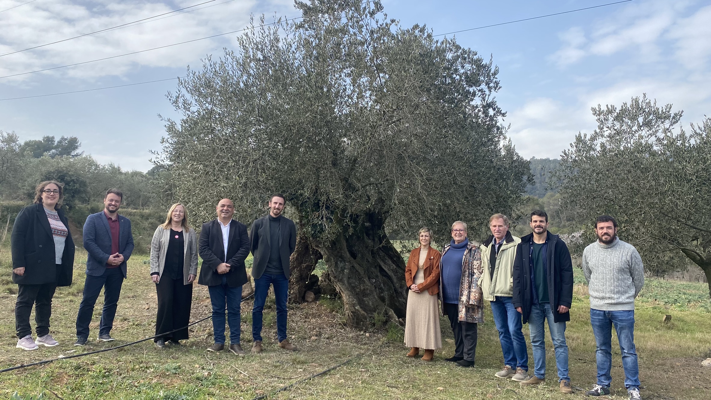 Es constitueix la taula pel reconeixement de la DOP 