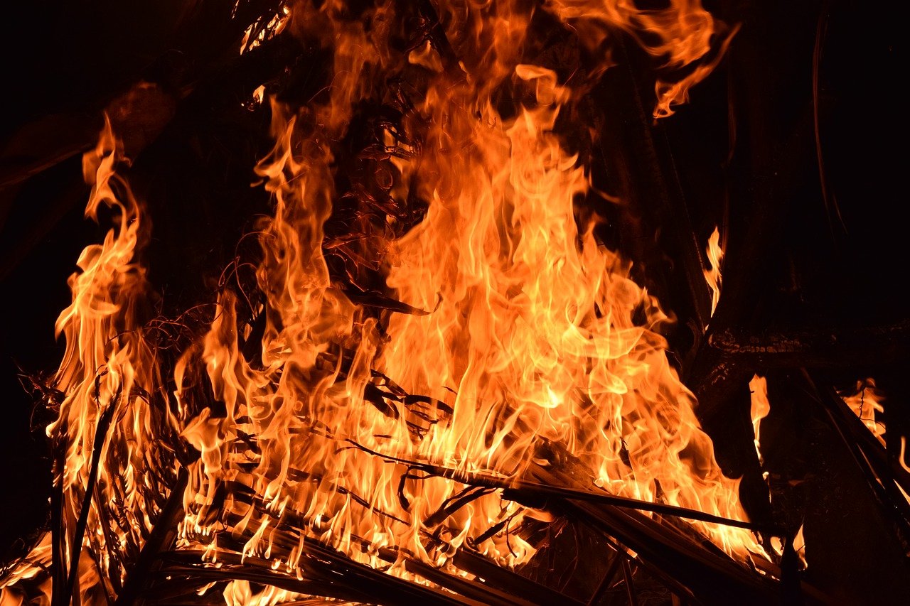 Prohibició de fer foc en terrenys forestals