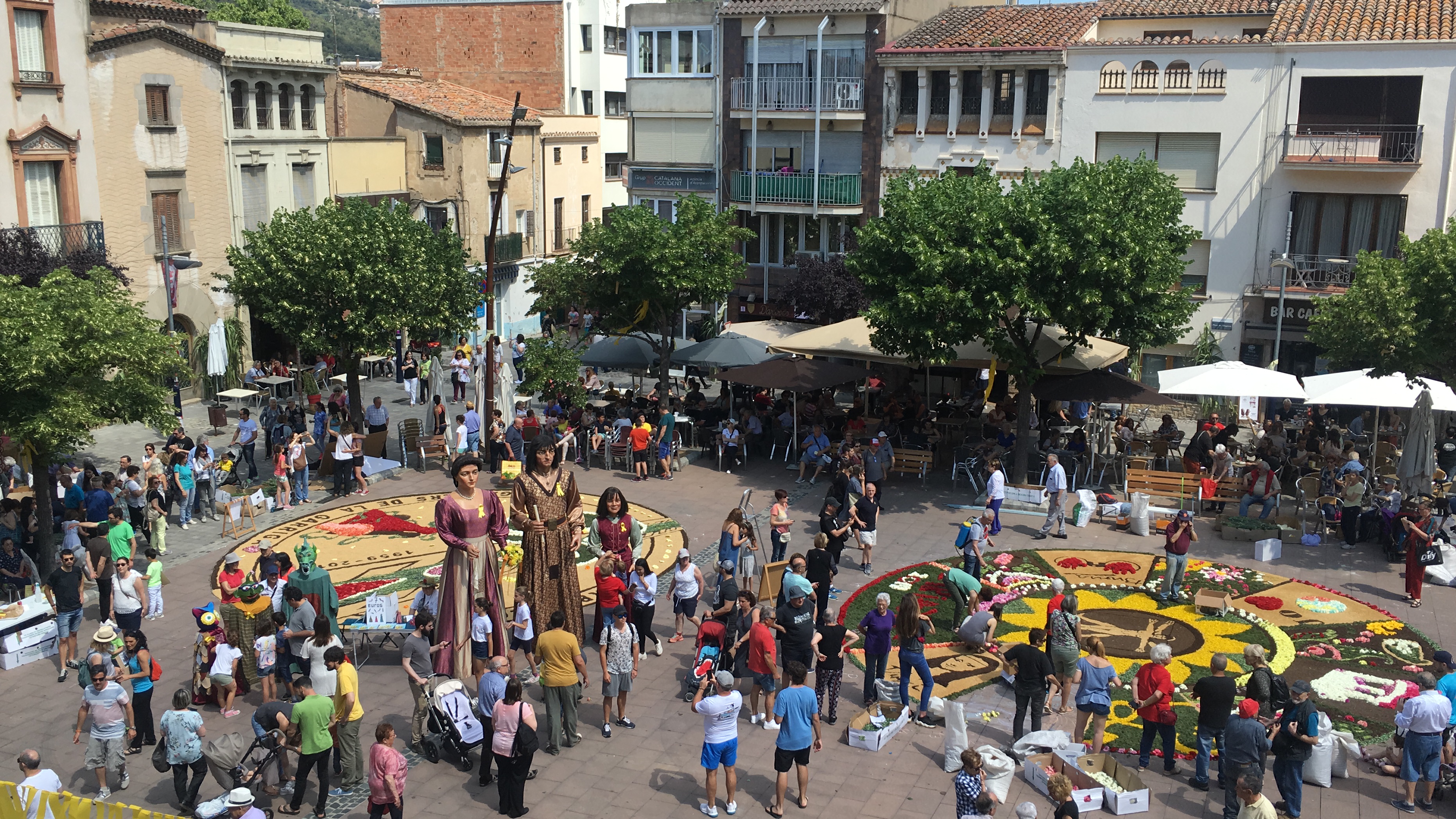 Les catifes de flors tornen a omplir de color la Garriga