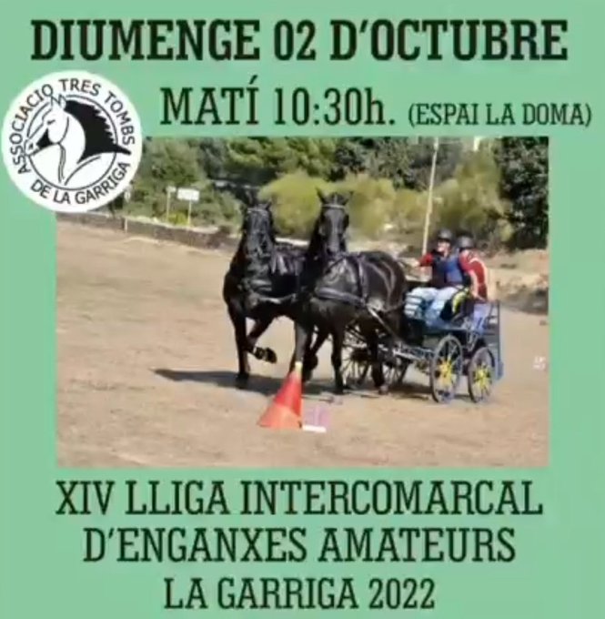 Concurs intercomarcal d'enganxes