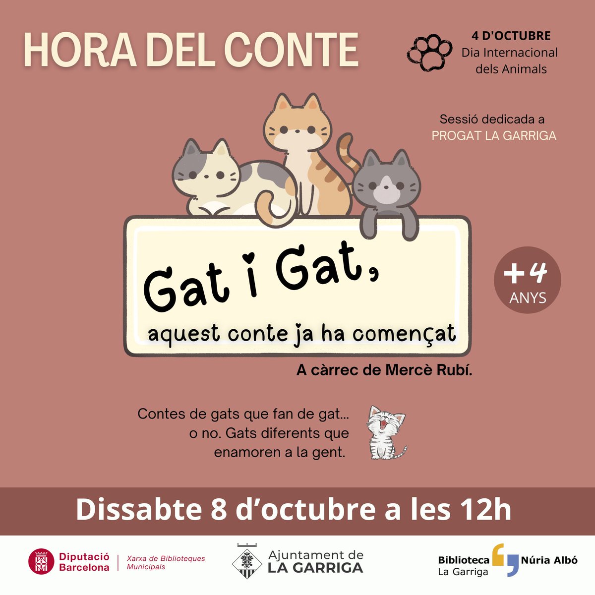 Hora del conte: Gat i gat, aquest conte ja ha començat