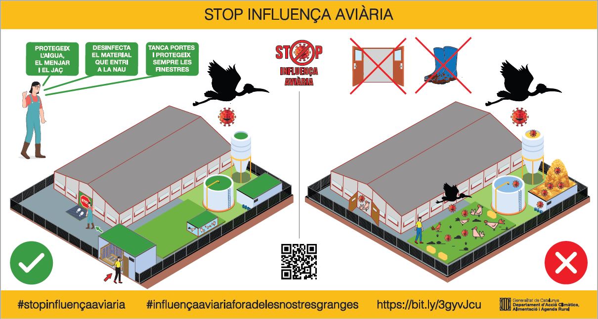 Precaució davant la influença aviària