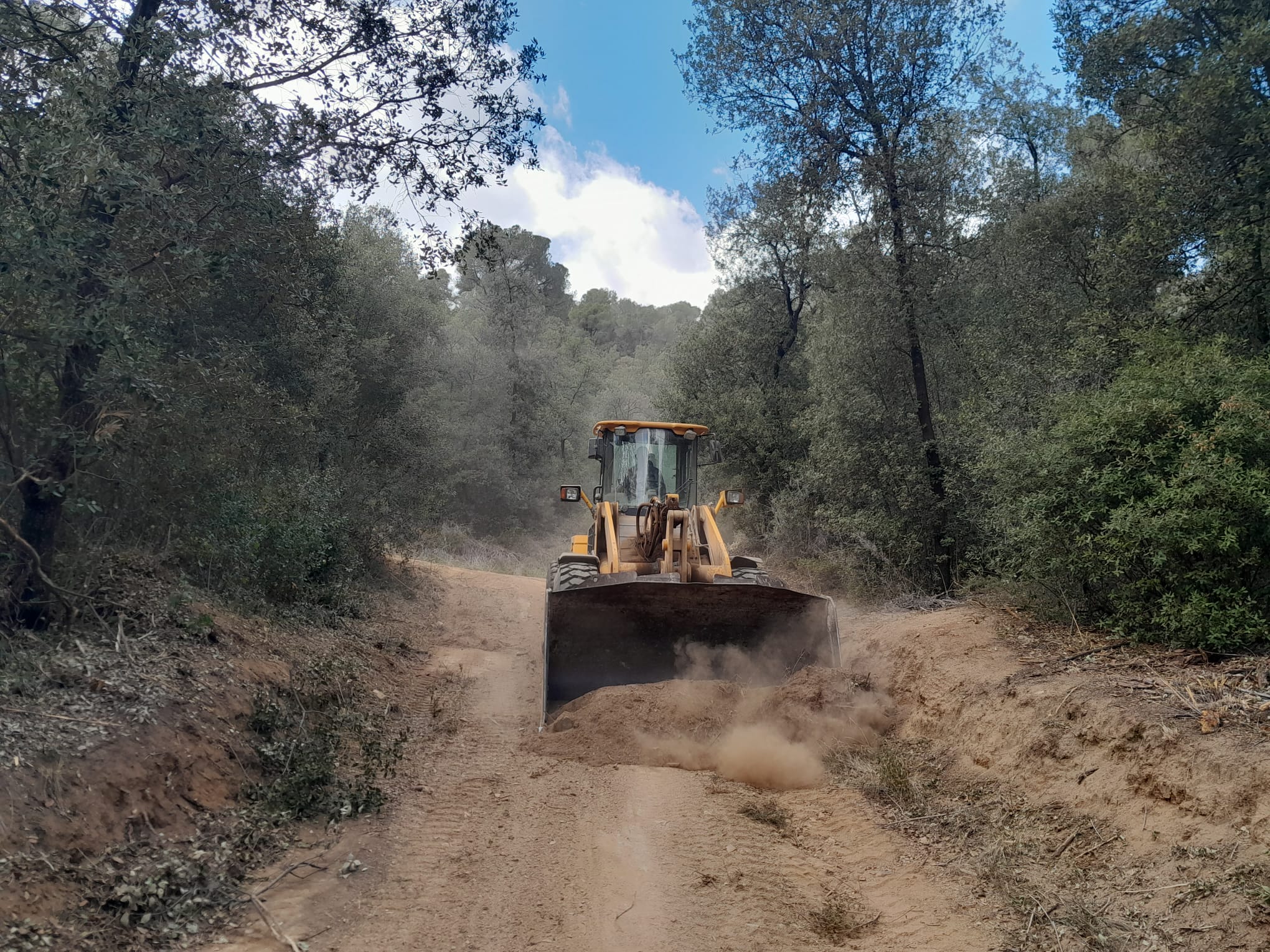 Millora de pistes forestals per evitar incendis