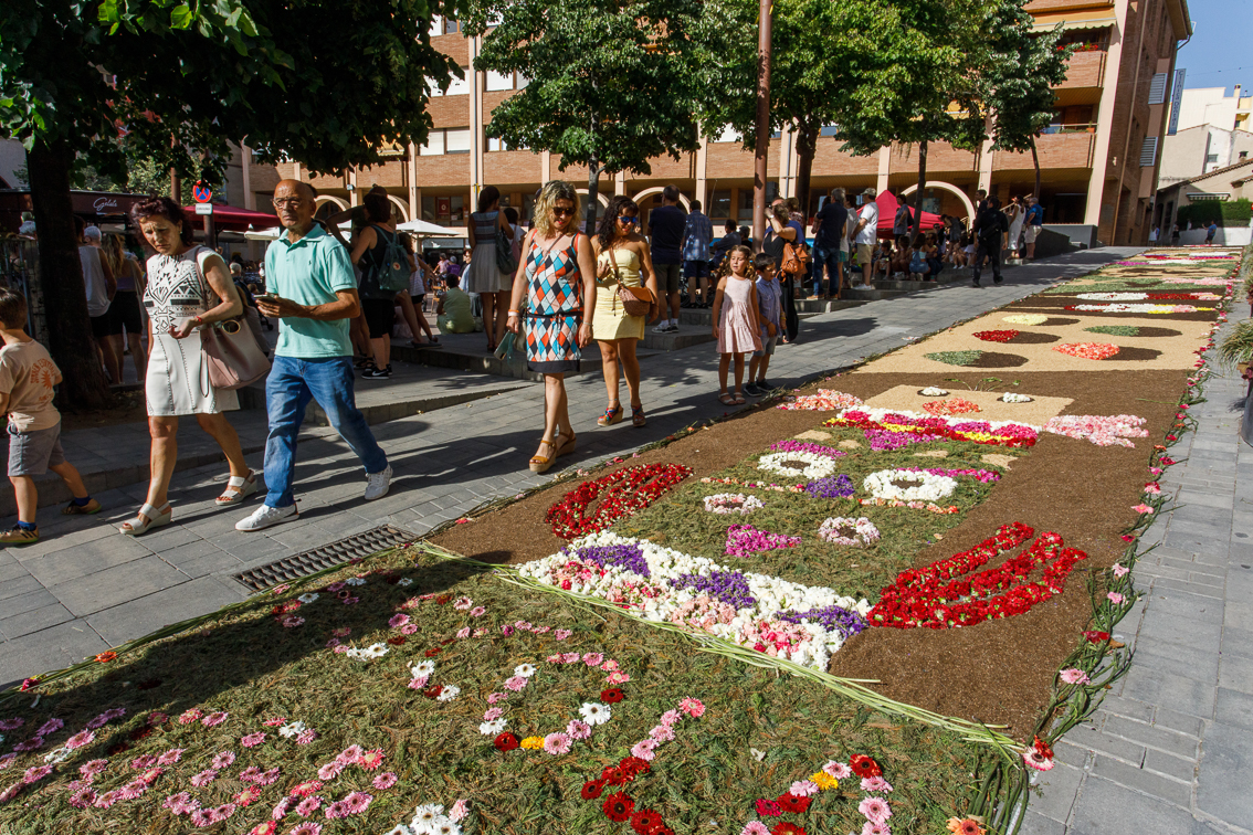 Corpus catifes diada altars ou com balla processó clavellada seguici festiu