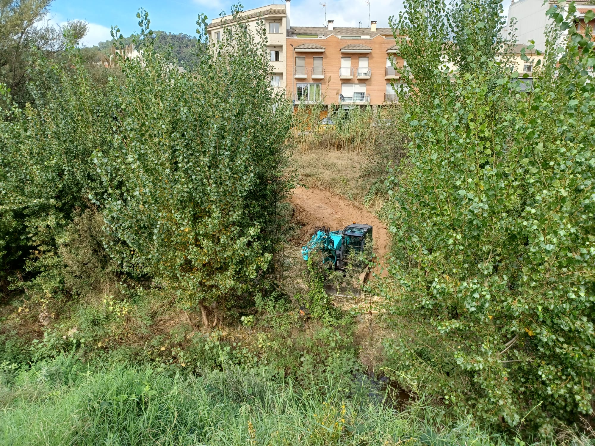 Neteja i millora ambiental a la llera del Congost