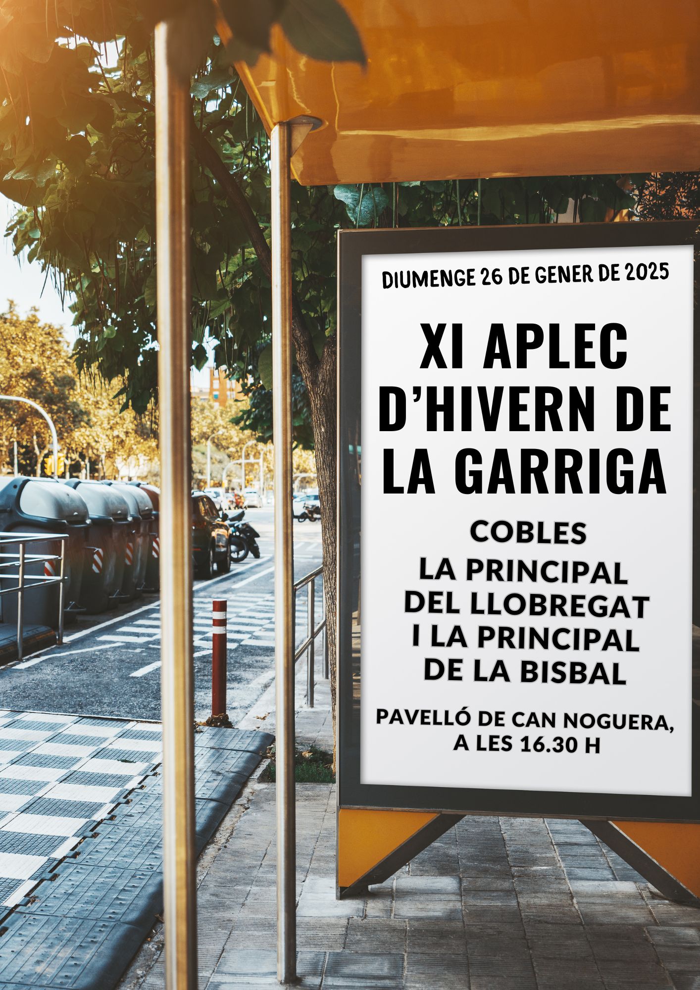 11è Aplec d'Hivern de la Sardana