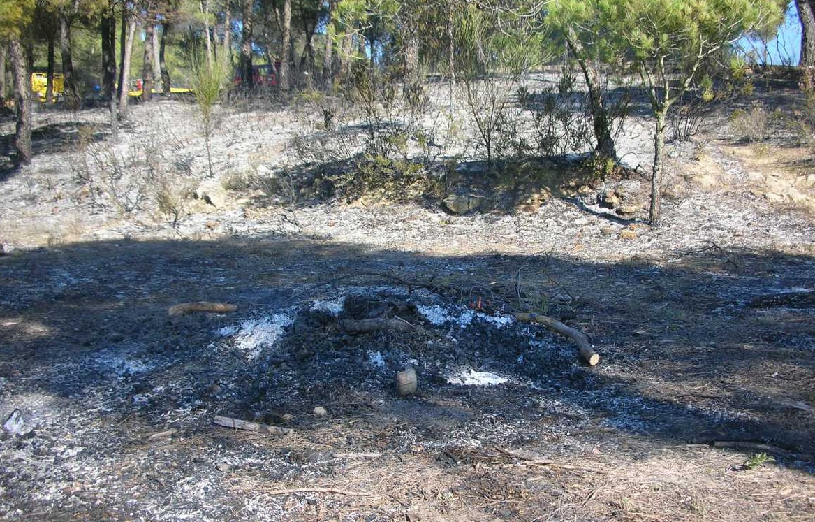 Prohibició de fer foc en terrenys forestals
