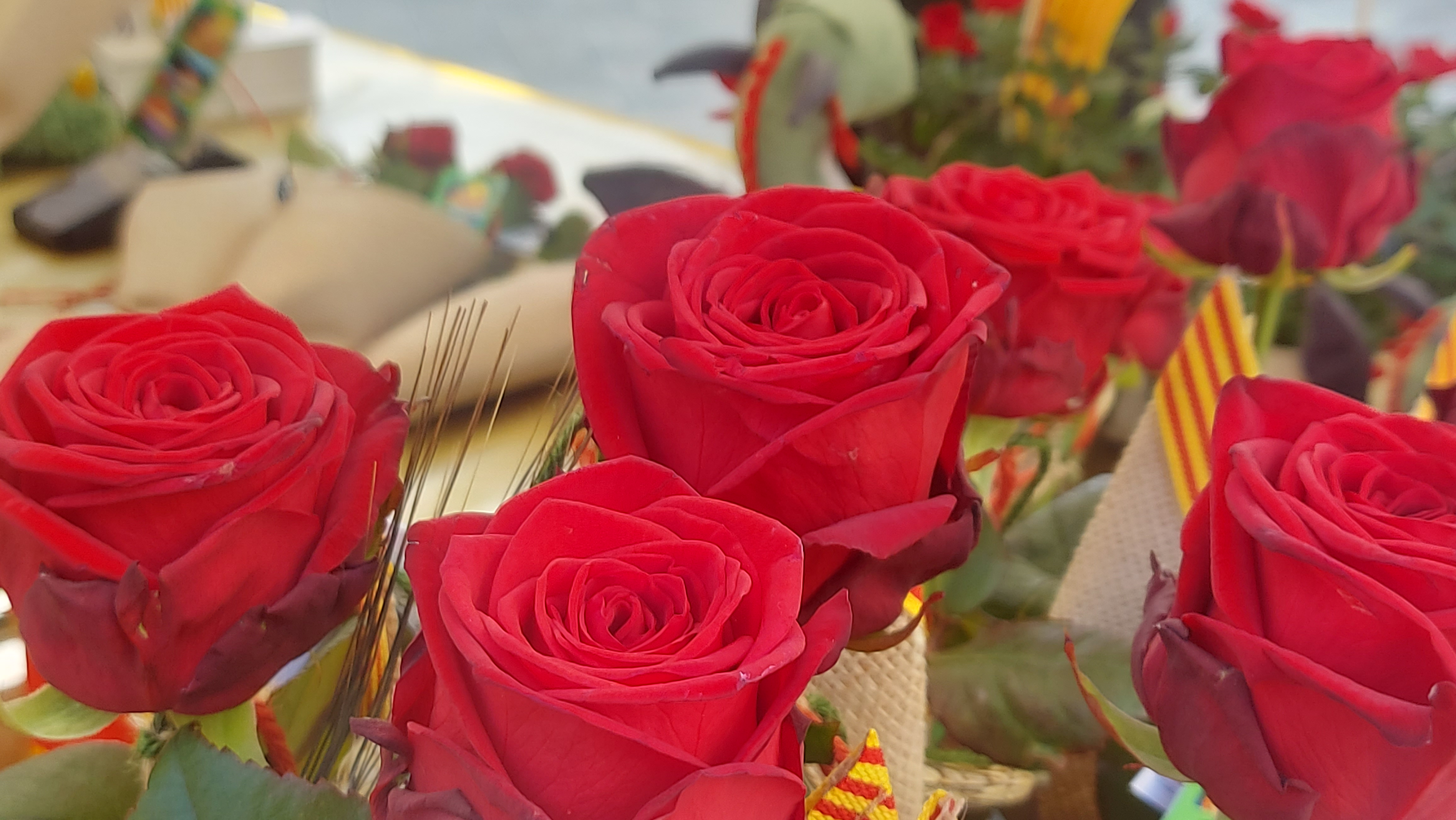 Sant Jordi a Ràdio Silenci