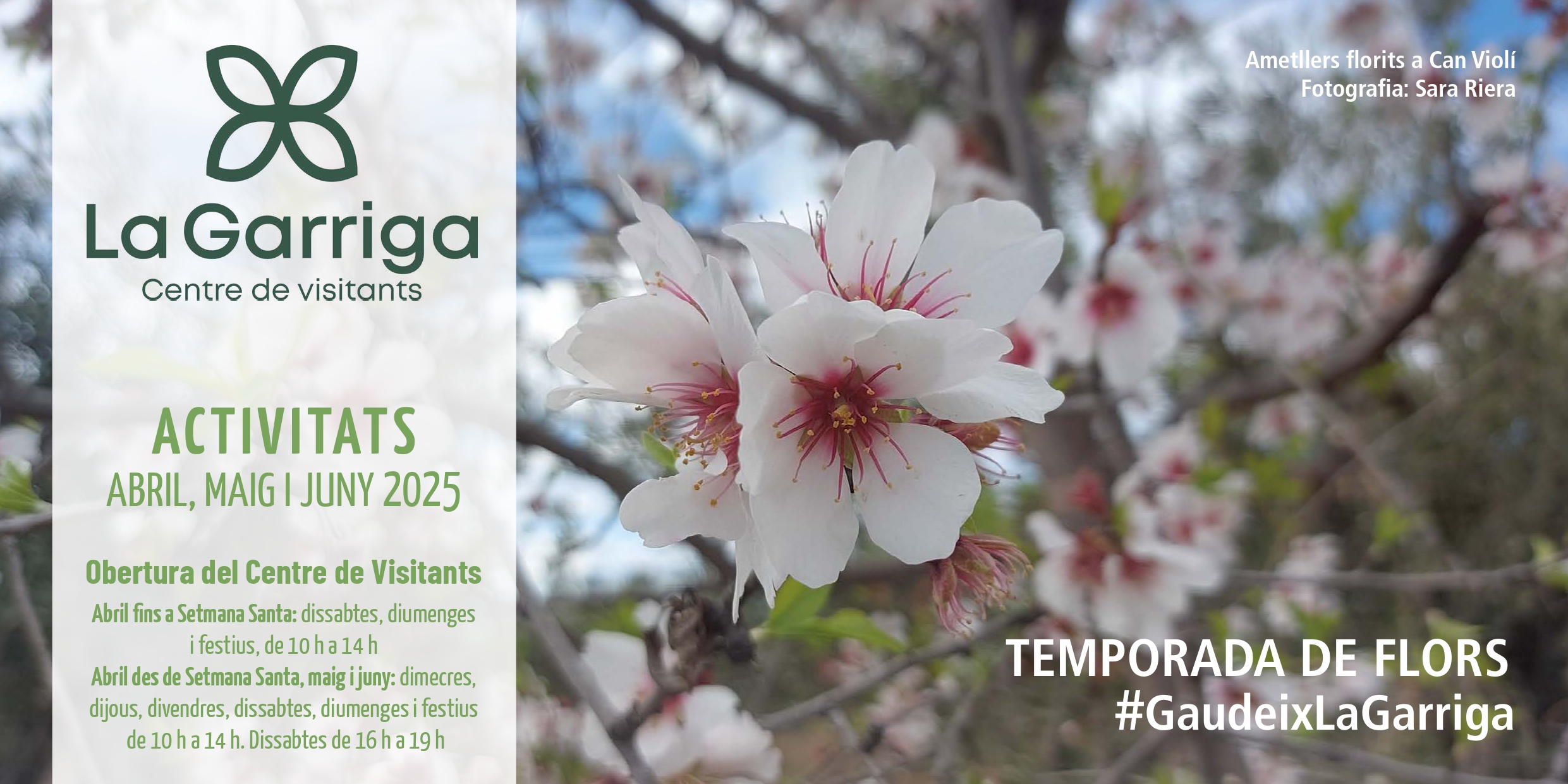 Visita la Garriga aquesta primavera