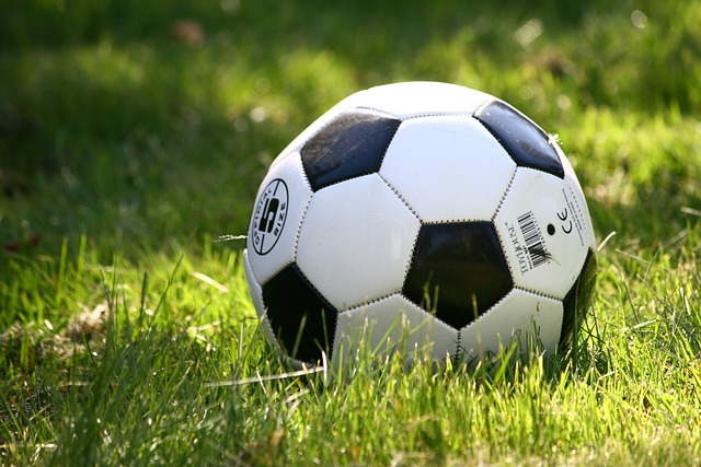 Subvencions a entitats esportives