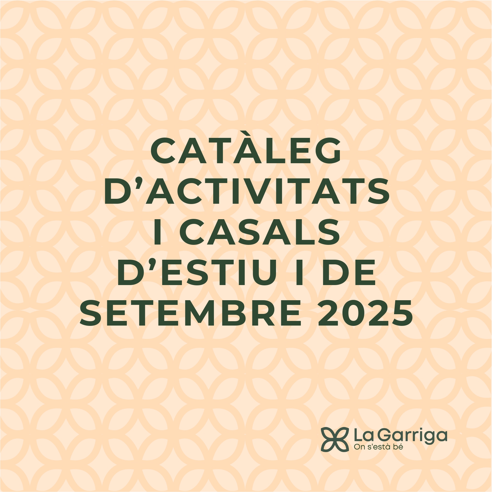 Catàleg casals estiu