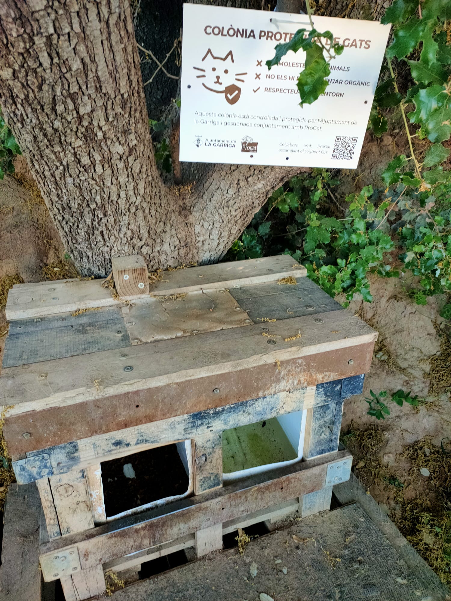 La Garriga engega un pla de control de colònies felines