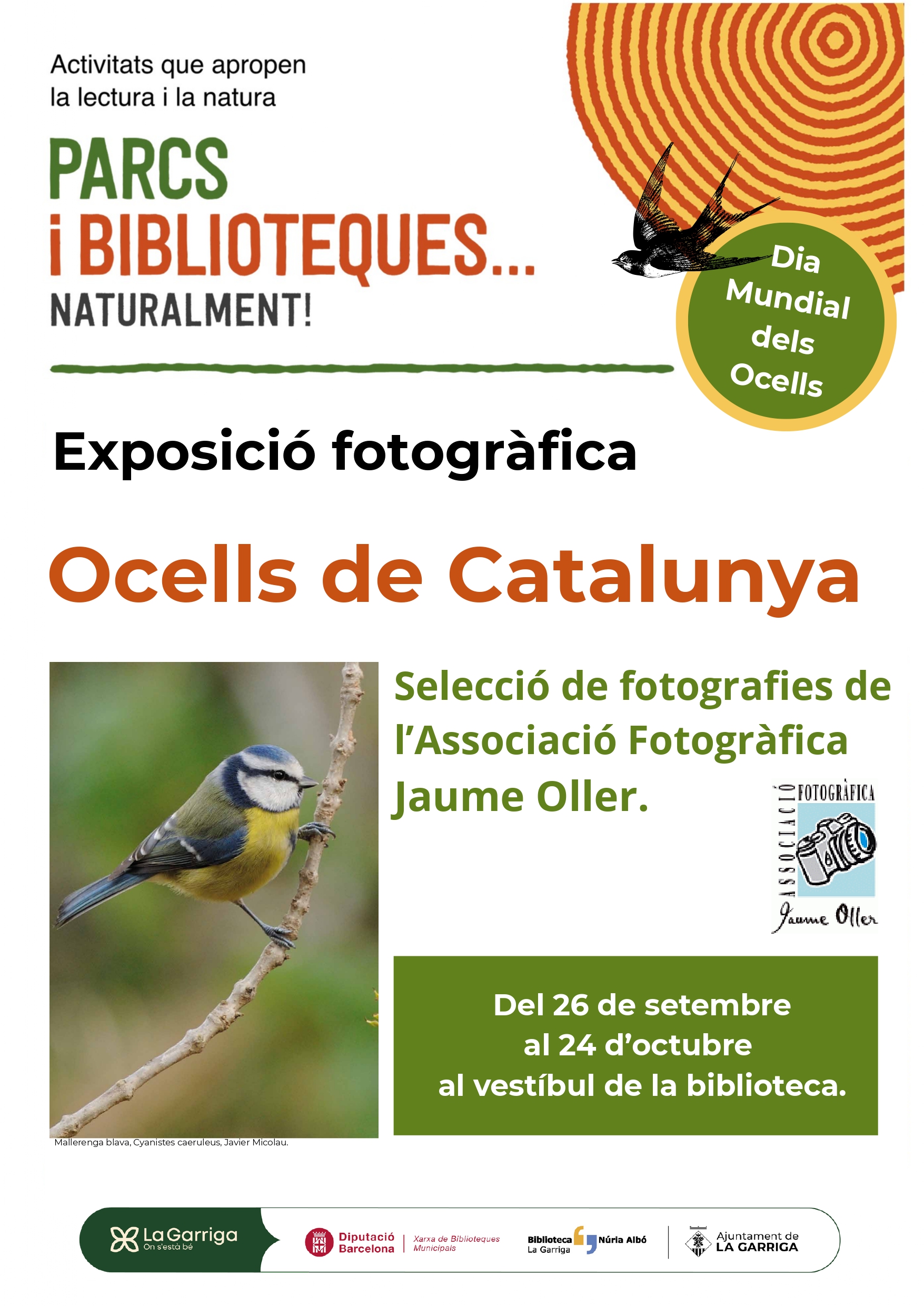 Exposició fotogràfica: Ocells de Catalunya