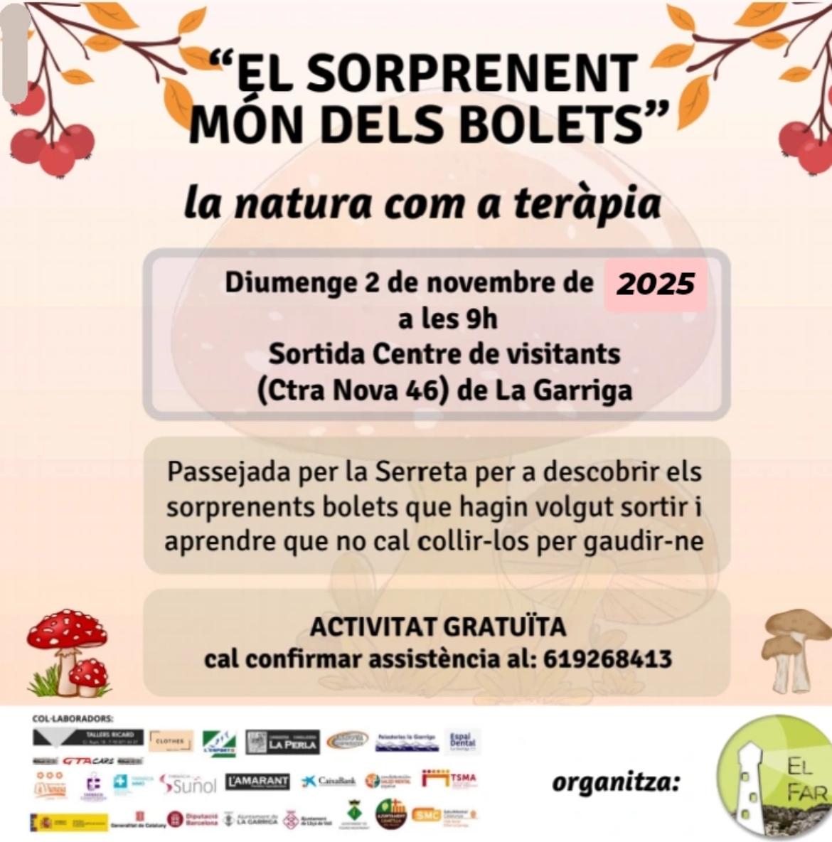 El sorprenent món dels bolets