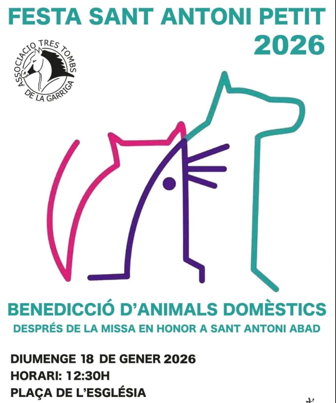 Festa de Sant Antoni Petit