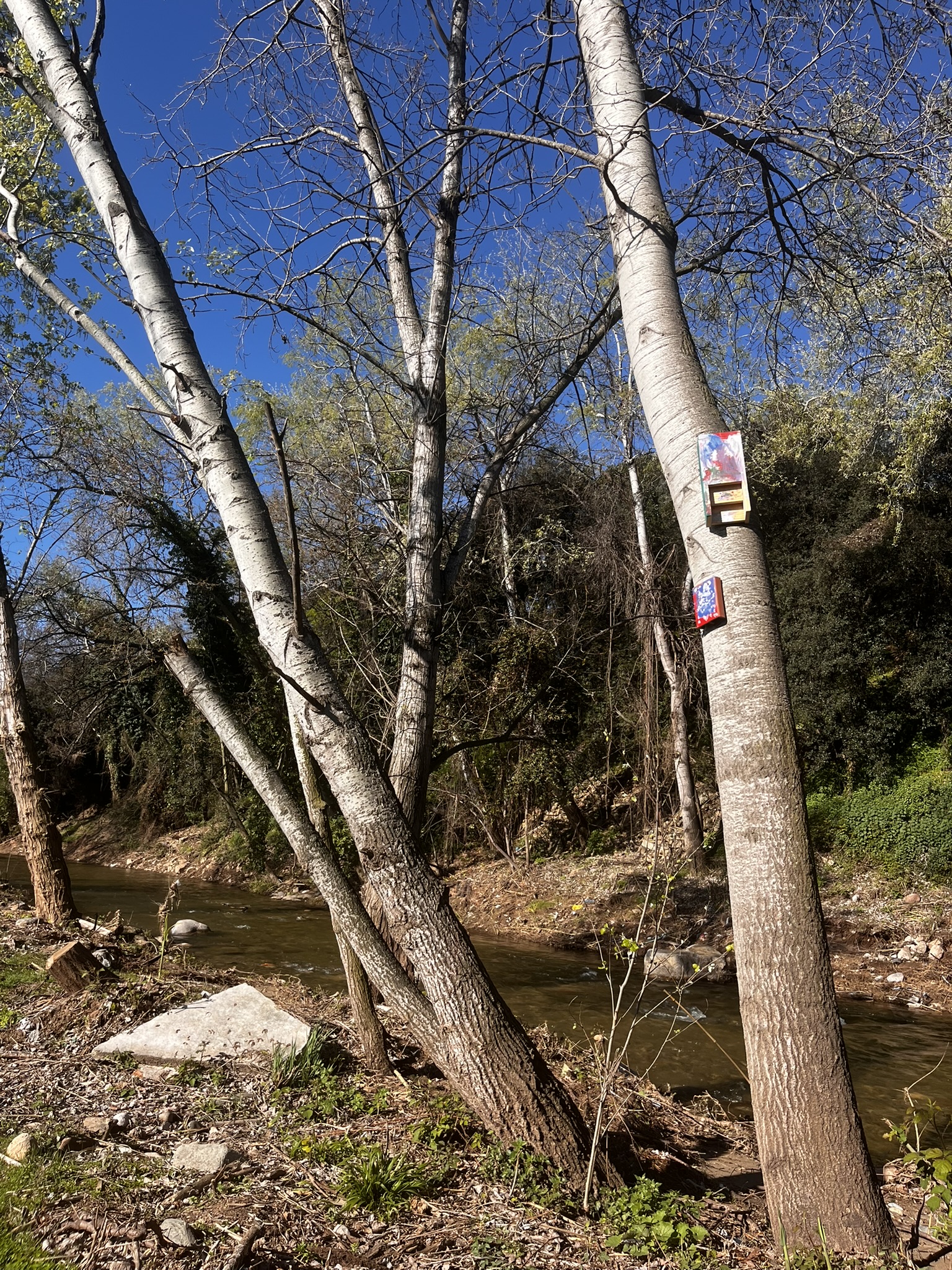 Es restaura l'h&agrave;bitat de m&eacute;s de 2 hect&agrave;ries del riu Congost