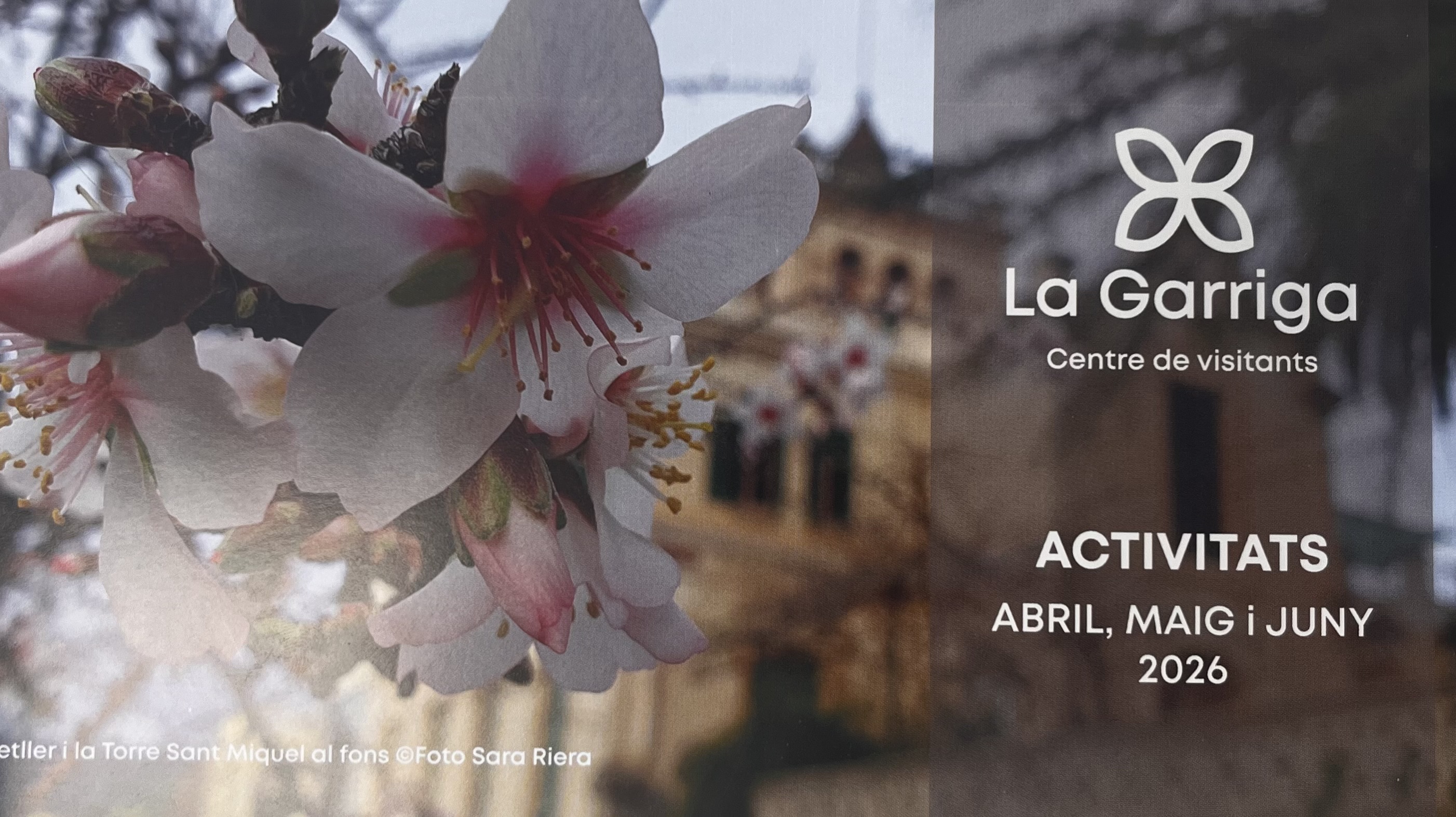 Activitats del Centre de Visitants 