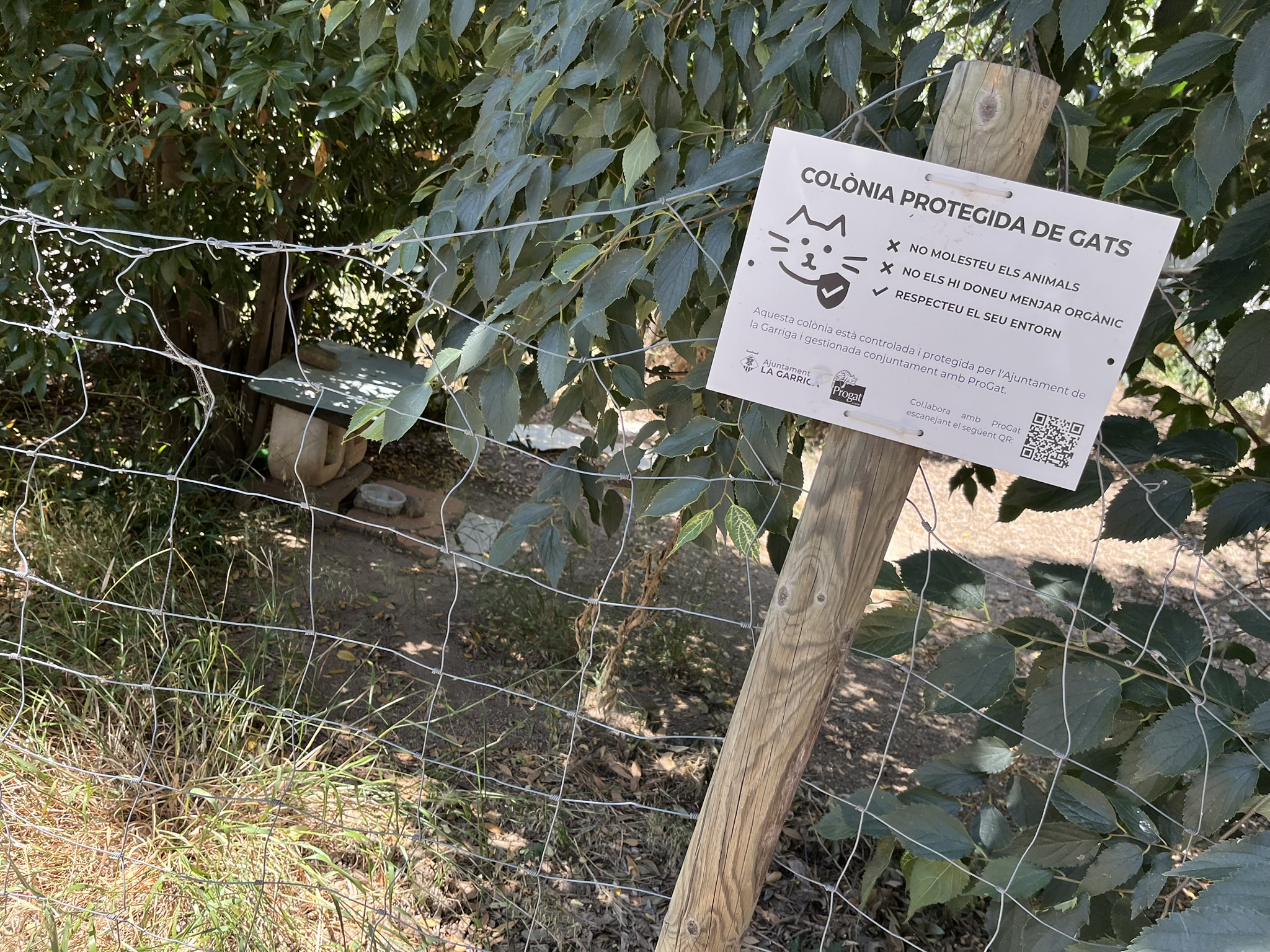 Si vols ser persona cuidadora d'una col&ograve;nia felina