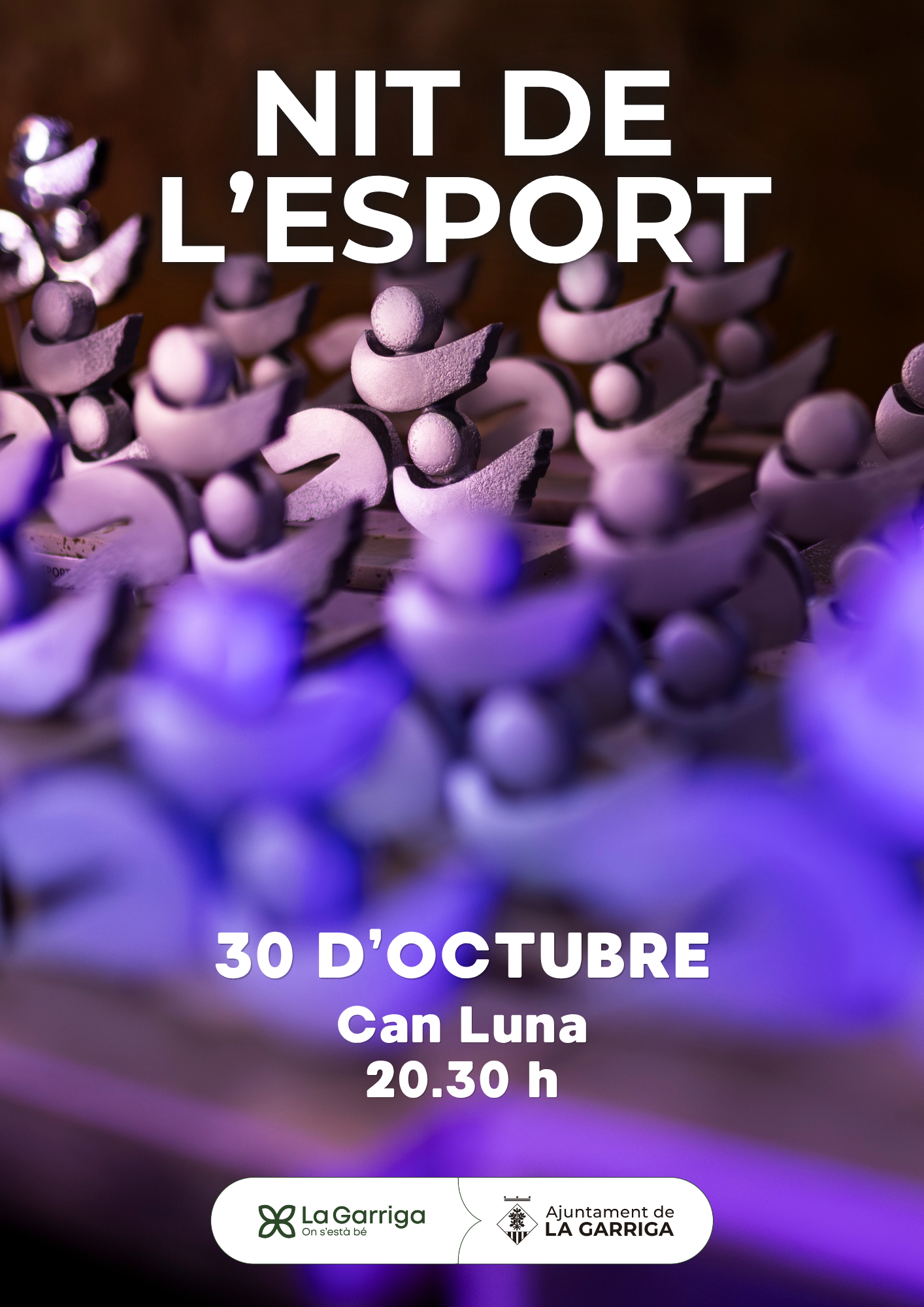 La Nit de l'Esport