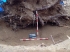 Les restes trobades a la Doma no són d'una fossa de la guerra