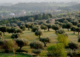 La Garriga rural i natural